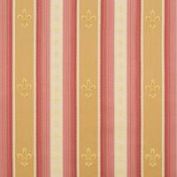 Coral Cloud 05