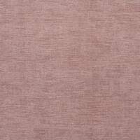 Misty Rose 20