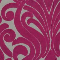 Fuchsia 12